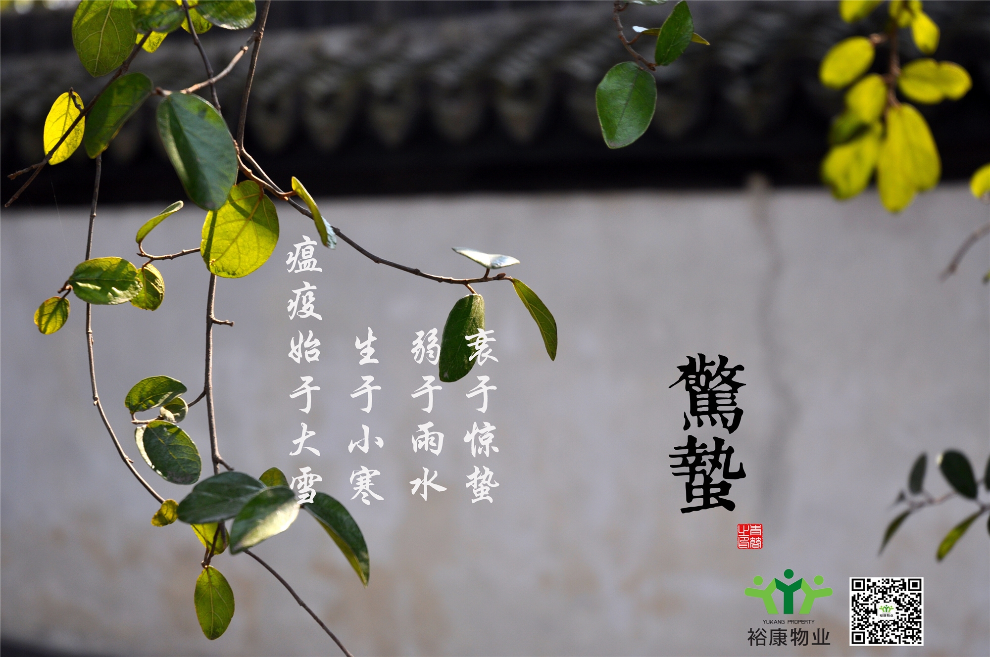 庚子春，二月十二，驚蟄日