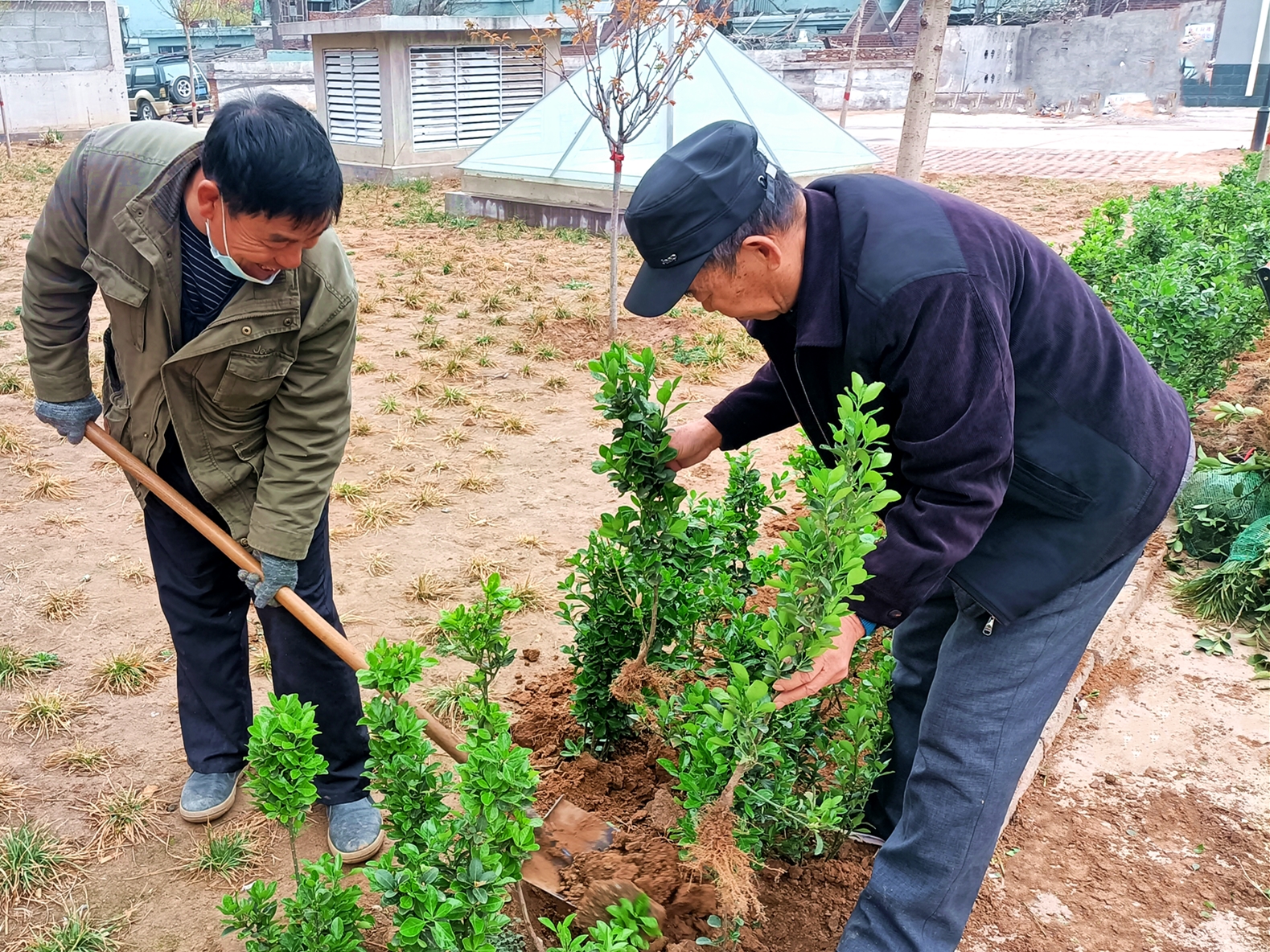“綠色呼吁”——?？滴飿I(yè)植樹活動